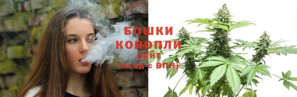 соль ск Ладушкин