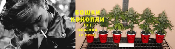 соль ск Ладушкин