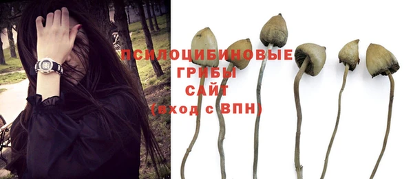 MESCALINE Лагань