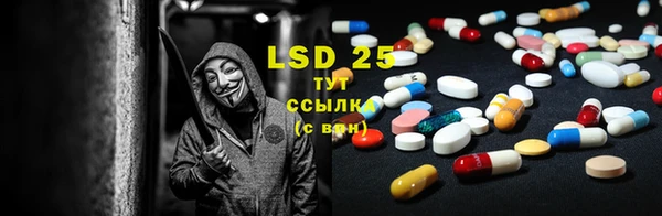 соль ск Ладушкин