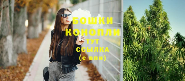 соль ск Ладушкин